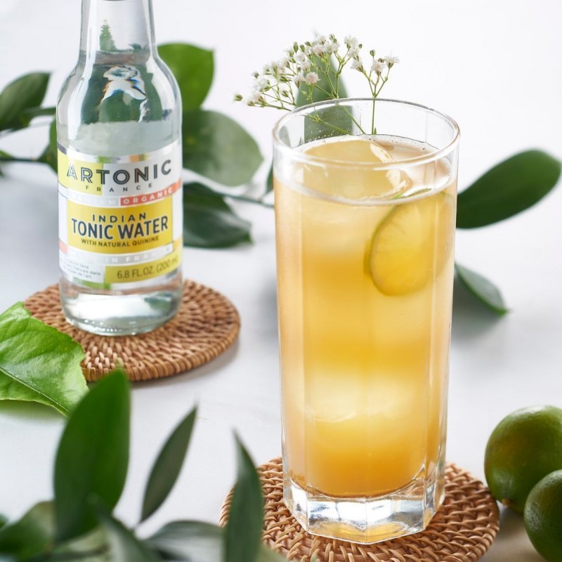 artonic-indian-organic-tonic-water-200-ml (1)